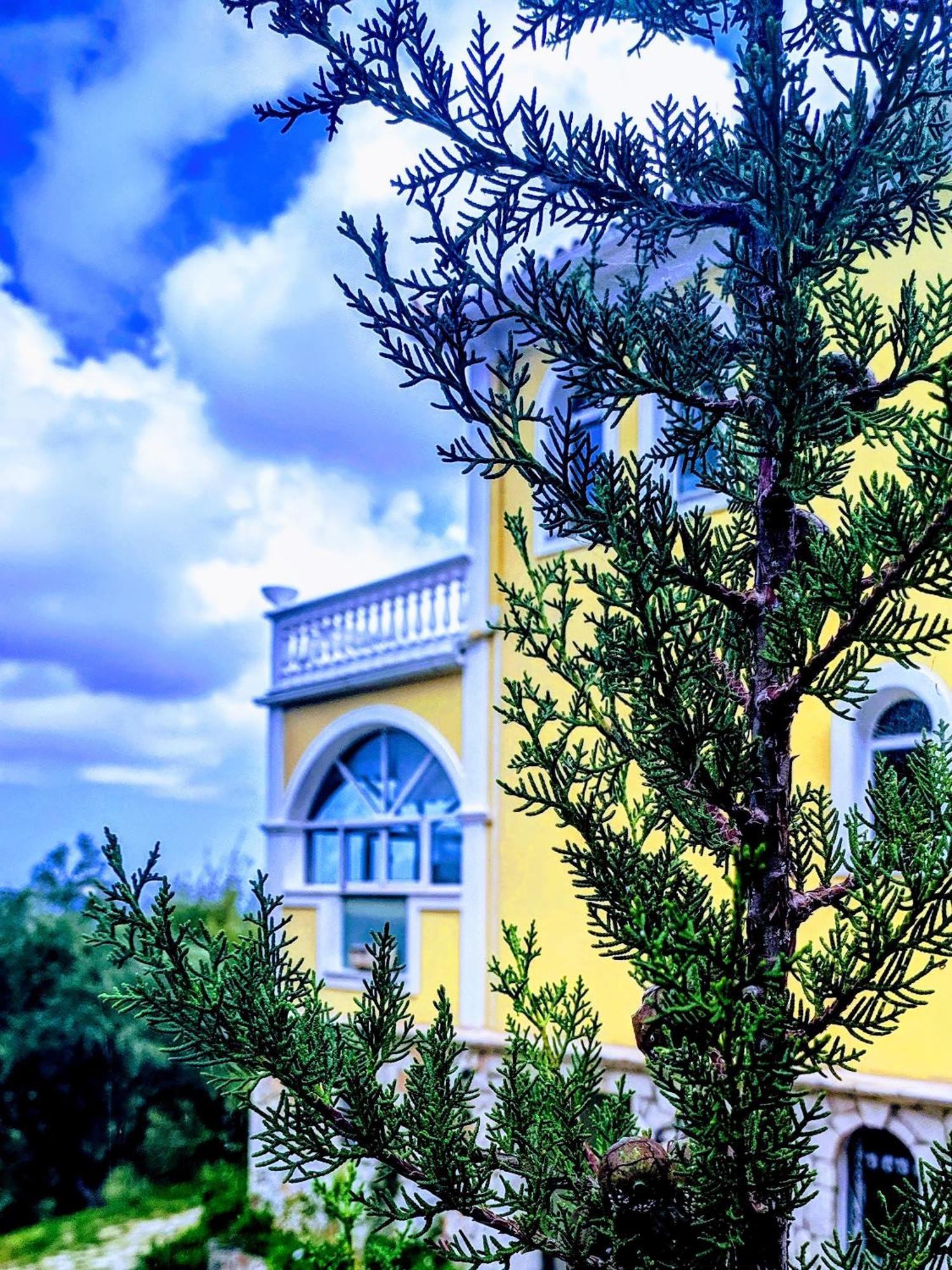 Vila Kalielaia Mouzákion Exteriér fotografie